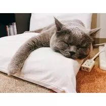 七瀬