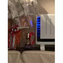 紫音