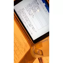 橘 美桜