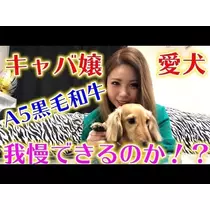 愛羽 仁美