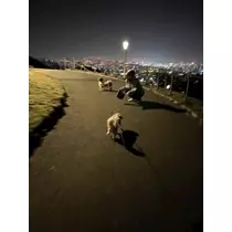 芹沢 莉瀬