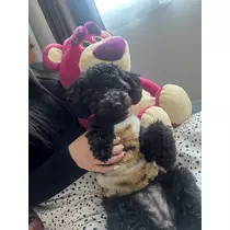 天乃 りさ