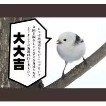 ひな