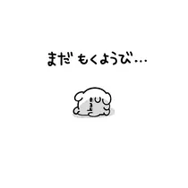 野本 明日香