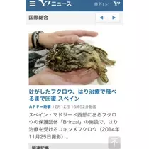 ゆま(20)