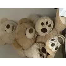 アユ