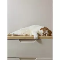 れみ
