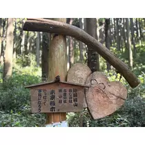 椿