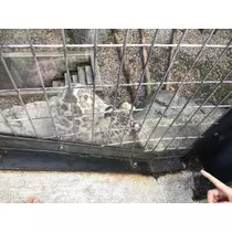 長瀬 純恋