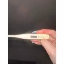 あおい