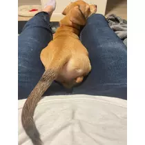 美月