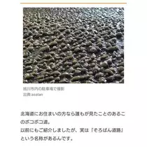 ひな
