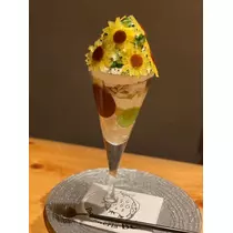七星 舞冬