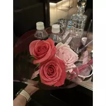 白石 愛莉