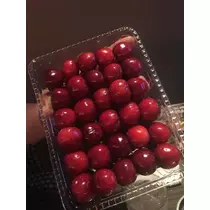 白石 愛莉