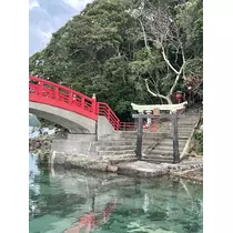 月乃 モモ