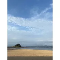 あみ