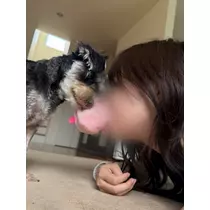 れん