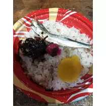 さくら