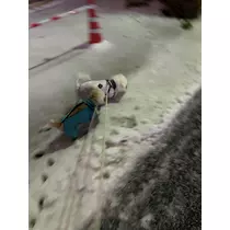 神楽 ゆあ