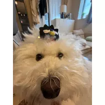 ミナミ