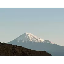 Risa