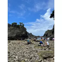 ひな