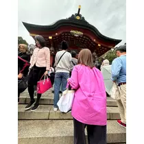 椿