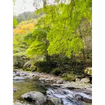 ゆかり
