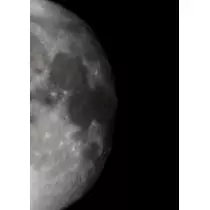 紫音