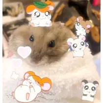 りい