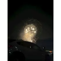 ゆり