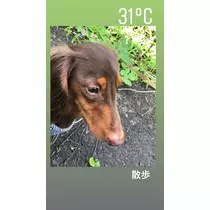 薫