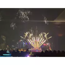 アリス