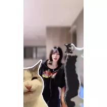 ねね