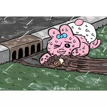 猫羽 のん