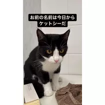 橘 美咲