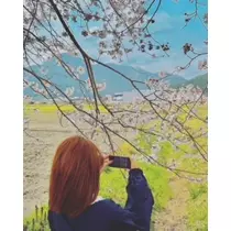 ゆかり
