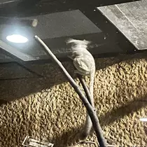 あ