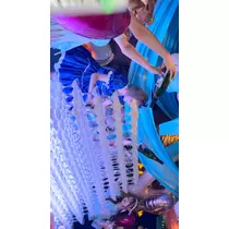 雛鶴 めい
