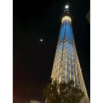 ましろ