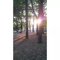 成海 まお