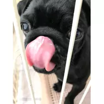 あきな