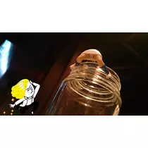 七星 夏純