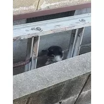 みぃな