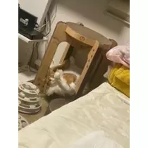 桐島 りゅう