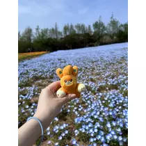 れむ