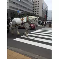 蓮見 リア