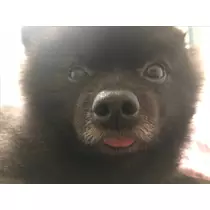 ティナ
