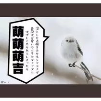 ひな